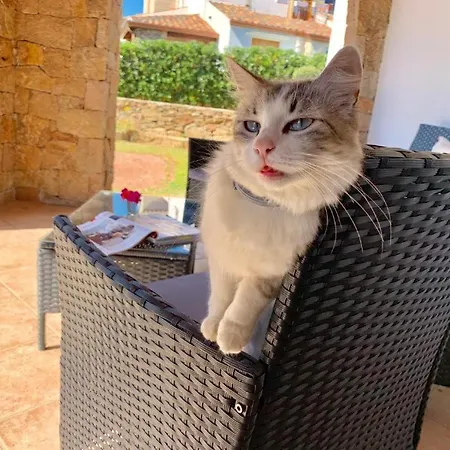 Apartamento Solaria *